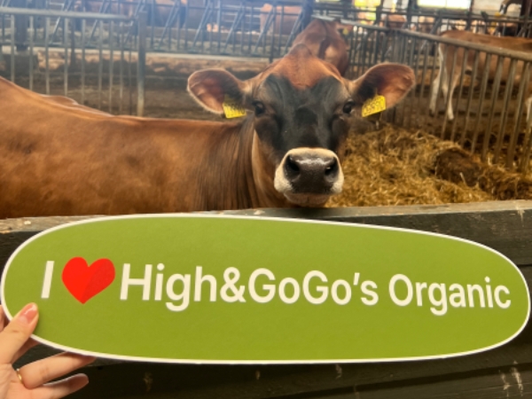 1737457637688181.jpg 2024-07-12 021230_副本.jpg