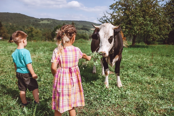 1743158908124229.jpg shutterstock_1825558946_副本.jpg